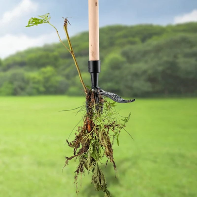 EasyWeed™ – Weed removal made effortless